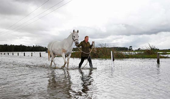 باالفيديو.. شاهد كيف شوشت الفيضانات الحياة في استراليا صورة رقم 12 باالفيديو.. شاهد كيف شوشت الفيضانات الحياة في استراليا صورة رقم 12