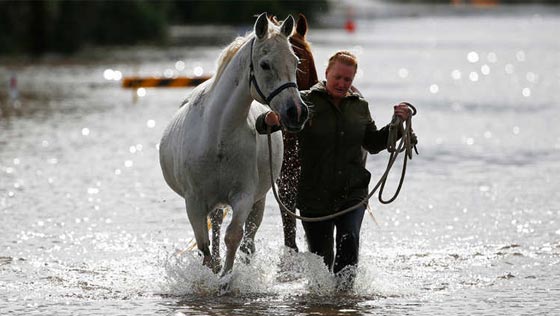 باالفيديو.. شاهد كيف شوشت الفيضانات الحياة في استراليا صورة رقم 14 باالفيديو.. شاهد كيف شوشت الفيضانات الحياة في استراليا صورة رقم 14