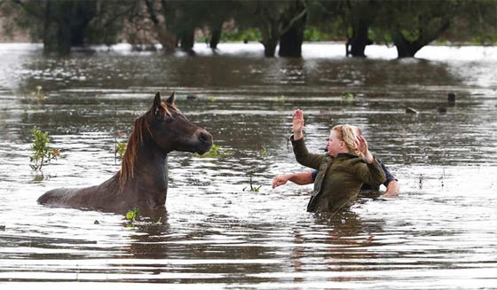 باالفيديو.. شاهد كيف شوشت الفيضانات الحياة في استراليا صورة رقم 18 باالفيديو.. شاهد كيف شوشت الفيضانات الحياة في استراليا صورة رقم 18
