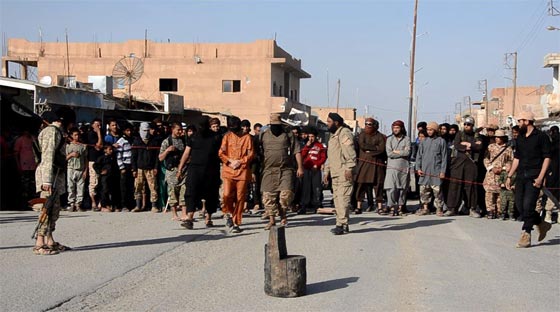  بالصور.. وحوش داعش يعدمون رجلا بقطع رأسه في الحسكة  صورة رقم 2