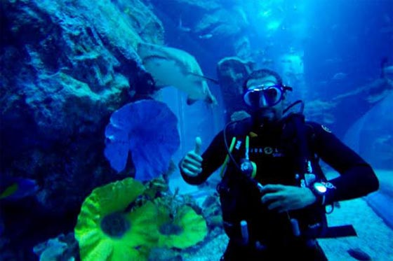 بالفيديو.. مغامر سعودي ينشر صوره المثيرة في البر والبحر والجو صورة رقم 3 بالفيديو.. مغامر سعودي ينشر صوره المثيرة في البر والبحر والجو صورة رقم 3