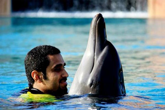 بالفيديو.. مغامر سعودي ينشر صوره المثيرة في البر والبحر والجو صورة رقم 7 بالفيديو.. مغامر سعودي ينشر صوره المثيرة في البر والبحر والجو صورة رقم 7