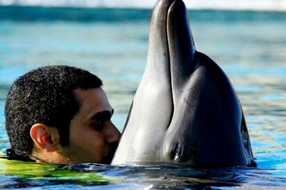 بالفيديو.. مغامر سعودي ينشر صوره المثيرة في البر والبحر والجو صورة رقم 8 بالفيديو.. مغامر سعودي ينشر صوره المثيرة في البر والبحر والجو صورة رقم 8