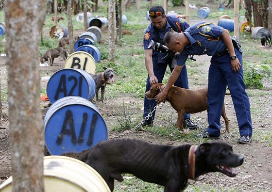 تشكيل وحدة خاصة تعاقب من لا يرفق بالحيوان في النرويج صورة رقم 4