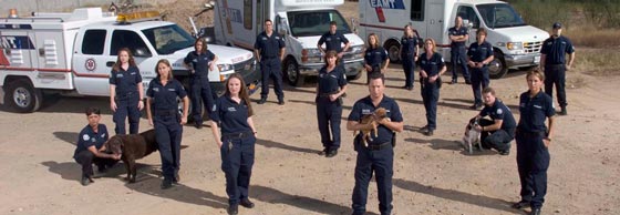 تشكيل وحدة خاصة تعاقب من لا يرفق بالحيوان في النرويج صورة رقم 3