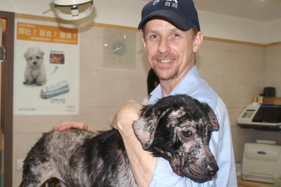 تشكيل وحدة خاصة تعاقب من لا يرفق بالحيوان في النرويج صورة رقم 2