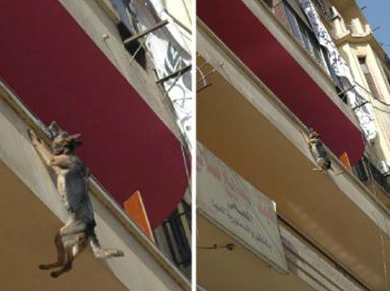 كلب مسكين يواجه حادثة مؤلمة.. في احد بلاكين قاهرة المُعزّ لدين الله صورة رقم 1