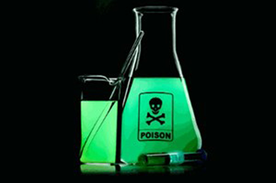  زوجته الثانية أطعمت زوجها سم الفئران والزوجة الاولى انقذته صورة رقم 1