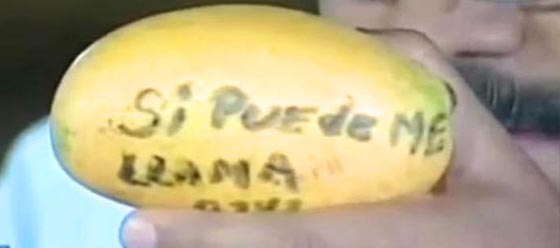 امرأة تقذف الرئيس الفانزويلي بثمرة منغا وتحصل على شقة! صورة رقم 2 امرأة تقذف الرئيس الفانزويلي بثمرة منغا وتحصل على شقة! صورة رقم 2