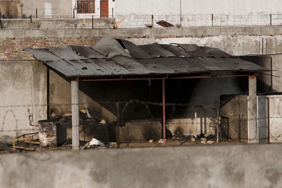 بعد 4 سنوات على رحيله.. ابن لادن يكشف 15 سرا من اسرار حياته الخاصة صورة رقم 4