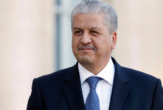 صدق او لا تصدق.. مسؤول جزائري يغري السياح الصينيين.. بنساء بلاده صورة رقم 2 صدق او لا تصدق.. مسؤول جزائري يغري السياح الصينيين.. بنساء بلاده صورة رقم 2