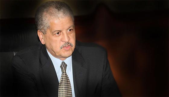 صدق او لا تصدق.. مسؤول جزائري يغري السياح الصينيين.. بنساء بلاده صورة رقم 5 صدق او لا تصدق.. مسؤول جزائري يغري السياح الصينيين.. بنساء بلاده صورة رقم 5