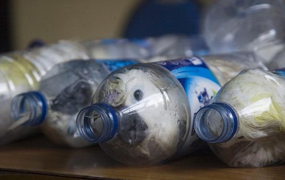 اقسى واغرب طريقة لتهريب الطيور في زجاجات بلاستيكية.. شاهد الصور صورة رقم 3