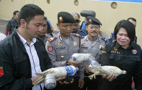 اقسى واغرب طريقة لتهريب الطيور في زجاجات بلاستيكية.. شاهد الصور صورة رقم 5