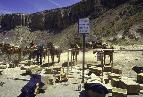 صور وفيديو: حياة بدائية لقرية الهنود الحُمر السرية  المعزولة في امريكا  صورة رقم 2