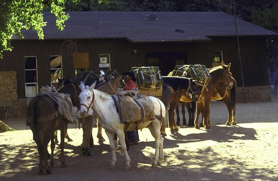 صور وفيديو: حياة بدائية لقرية الهنود الحُمر السرية  المعزولة في امريكا  صورة رقم 3