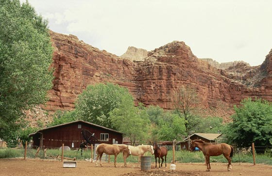 صور وفيديو: حياة بدائية لقرية الهنود الحُمر السرية  المعزولة في امريكا  صورة رقم 10