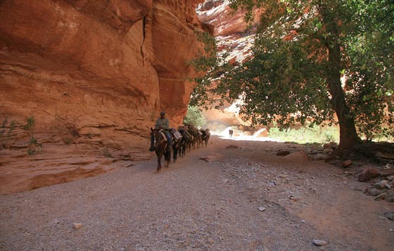 صور وفيديو: حياة بدائية لقرية الهنود الحُمر السرية  المعزولة في امريكا  صورة رقم 19