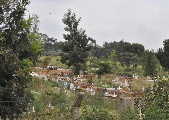 من البرازيل بكل الدهشة.. مقبرة تعرض اضرحة خاصة لذوي الوزن الثقيل صورة رقم 1