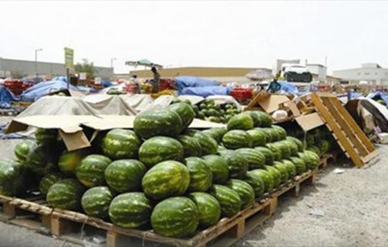 البطيخ الايراني يفجر مكامن التوتر الرهيب بين السنة والشيعة صورة رقم 2