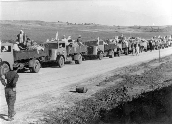شهادة باكية.. فلسطينية تروي التفاصيل الدامية للوطن الذبيح صورة رقم 8 شهادة باكية.. فلسطينية تروي التفاصيل الدامية للوطن الذبيح صورة رقم 8