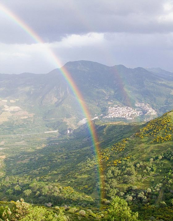 قصص مرعبة عن اكثر بلدة ملعونة في ايطاليا: سحرة، عين شريرة ورضّع  بقلبين و3 رئات صورة رقم 4