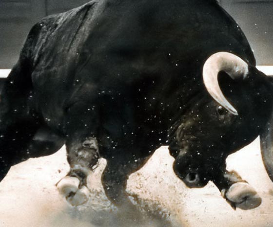 اسبانيا: ثور هائج يتسبب باصابة 11 شخصا بينهم طفل في التاسعة صورة رقم 1 اسبانيا: ثور هائج يتسبب باصابة 11 شخصا بينهم طفل في التاسعة صورة رقم 1