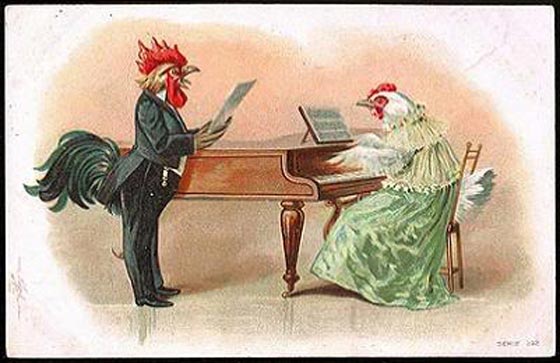 صدق او لا تصدق.. دجاج يبيض على موسيقى موزارت صورة رقم 1 صدق او لا تصدق.. دجاج يبيض على موسيقى موزارت صورة رقم 1