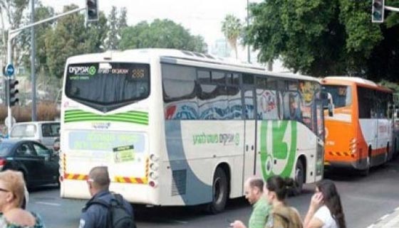 الانتقادات الحادة تنزل جحش العنصرية الاسرائيلية من حافلاته.. صورة رقم 2 الانتقادات الحادة تنزل جحش العنصرية الاسرائيلية من حافلاته.. صورة رقم 2