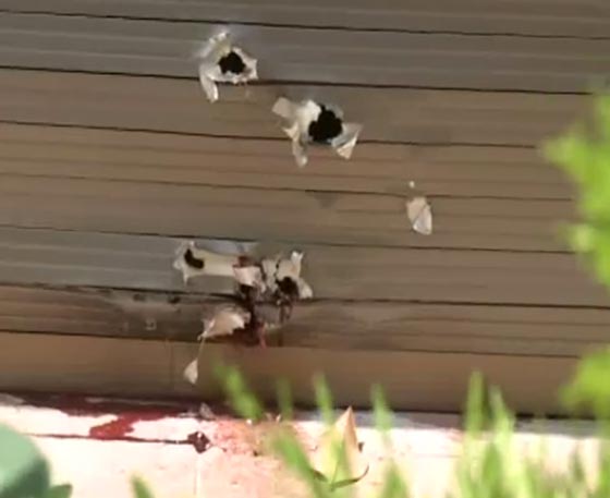 لبنان يهتز.. رجل يطلق ثلاثين رصاصة على زوجته غير عابئ بصراخ ابنائه صورة رقم 7 لبنان يهتز.. رجل يطلق ثلاثين رصاصة على زوجته غير عابئ بصراخ ابنائه صورة رقم 7