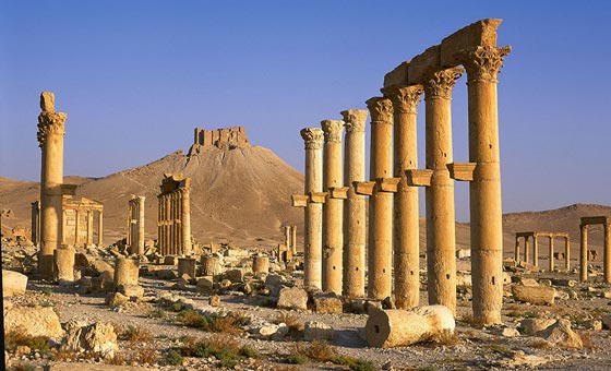 الدواعش يدمرون مدينة تدمر ويعملون فيها يد القتل ذات اليمين وذات الشمال صورة رقم 7 الدواعش يدمرون مدينة تدمر ويعملون فيها يد القتل ذات اليمين وذات الشمال صورة رقم 7