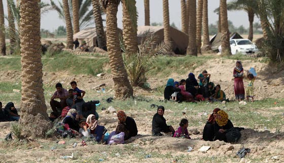 بالصور.. عراقيون يفرون من جحيم داعش في الانبار الى نعيم التشرد  صورة رقم 8