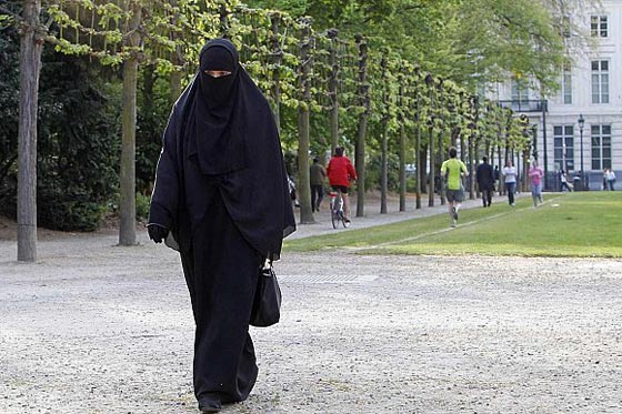 هولندا تحظر النقاب في المؤسسات الحكومية ووسائط النقل العامة صورة رقم 2