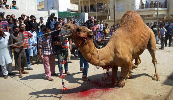 بالصور.. الطقوس الدينية والحجيج لاتباع الديانات المختلفة حول العالم صورة رقم 7