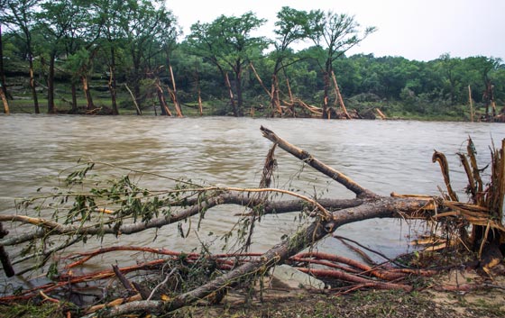 عواصف تكساس واوكلاهوما تبتلع 15 امريكيا وتختطفهم من بين يدي الحياة!! صورة رقم 9 عواصف تكساس واوكلاهوما تبتلع 15 امريكيا وتختطفهم من بين يدي الحياة!! صورة رقم 9