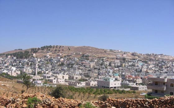 مخيم العروب يتلوى بين فكي مليونير يهودي.. واسرائيل تريد بناء مستوطنة على اراضيه!! صورة رقم 5