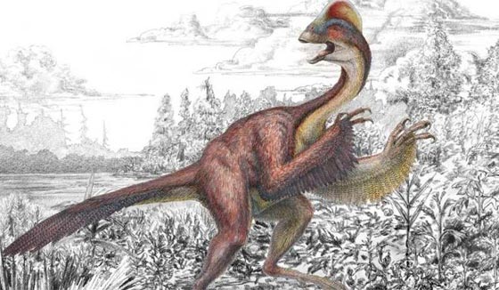 اغن نظرك واثره بمشاهدة صور 10 حيوانات ونباتات تم اكتشافها حديثا صورة رقم 2 اغن نظرك واثره بمشاهدة صور 10 حيوانات ونباتات تم اكتشافها حديثا صورة رقم 2