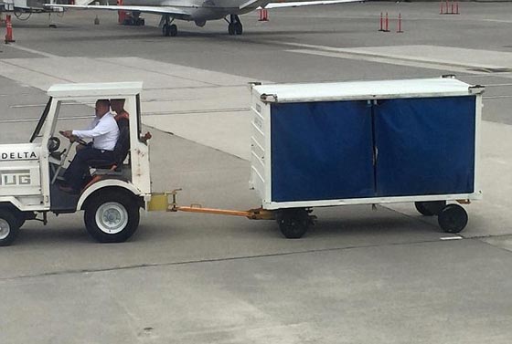 صور مهدئة للاعصاب.. طيار يوزع البيتزا على الركاب للتخفيف عنهم صورة رقم 3