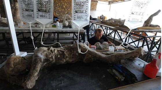 صور مثيرة.. قوم تحولوا الى حجارة عام 79 قبل ميلاد المسيح صورة رقم 5