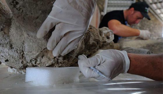 صور مثيرة.. قوم تحولوا الى حجارة عام 79 قبل ميلاد المسيح صورة رقم 6