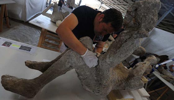 صور مثيرة.. قوم تحولوا الى حجارة عام 79 قبل ميلاد المسيح صورة رقم 10