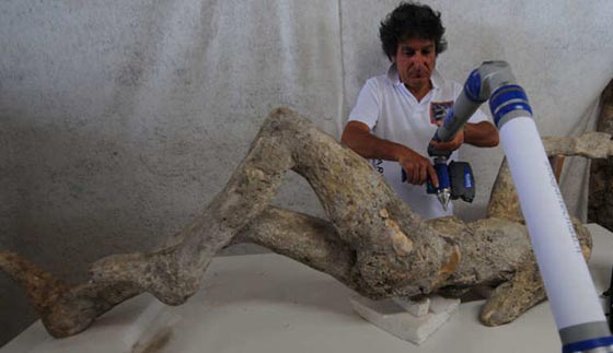 صور مثيرة.. قوم تحولوا الى حجارة عام 79 قبل ميلاد المسيح صورة رقم 14