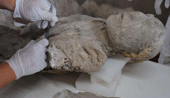 صور مثيرة.. قوم تحولوا الى حجارة عام 79 قبل ميلاد المسيح صورة رقم 16