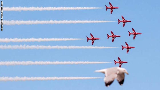 بالصور.. ابرز أحداث الاسبوع الأخير بالصورة والكلمة صورة رقم 14 بالصور.. ابرز أحداث الاسبوع الأخير بالصورة والكلمة صورة رقم 14