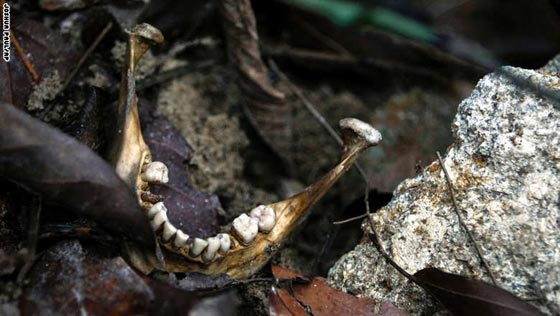 بالصور.. ابرز أحداث الاسبوع الأخير بالصورة والكلمة صورة رقم 17 بالصور.. ابرز أحداث الاسبوع الأخير بالصورة والكلمة صورة رقم 17