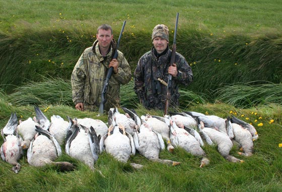 ايسلندا تلغي قرارا عمره 400 سنة يسمح بقتل الصيادين الباسك صورة رقم 2 ايسلندا تلغي قرارا عمره 400 سنة يسمح بقتل الصيادين الباسك صورة رقم 2