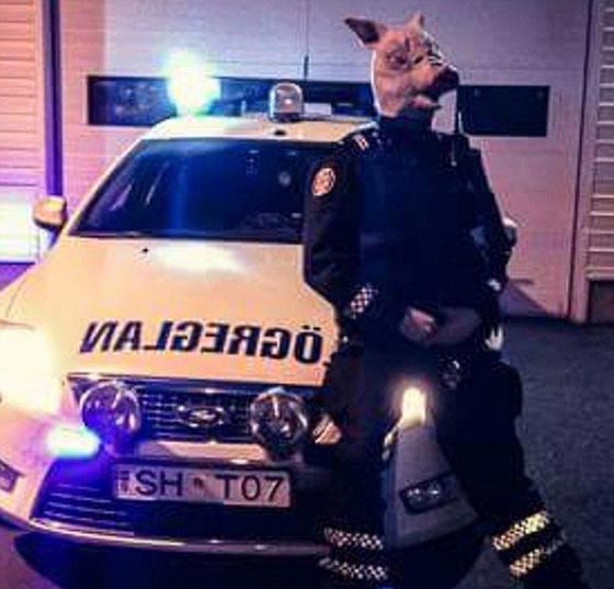 صور مضحكة: رجال شرطة مع حيوانات اليفة، يلتهمون برجر ويلهون بالثلج  صورة رقم 27