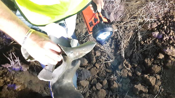 داعش من غزة.. قصفنا اسرائيل بثلاثة صواريخ انتقاما لمقتل احد انصارنا صورة رقم 5