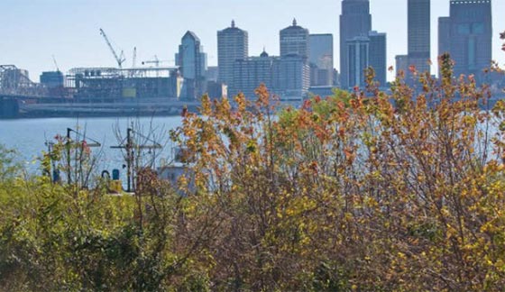 هذة هي اغلى اسواق للعقارات السكنية.. اسعارها تناطح السحاب صورة رقم 8 هذة هي اغلى اسواق للعقارات السكنية.. اسعارها تناطح السحاب صورة رقم 8