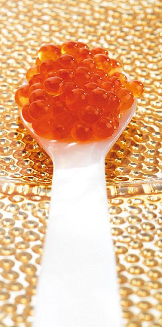 زيادة وزن الزعيم الكوري لعدم قدرته على مقاومة السوشي والنبيذ صورة رقم 6